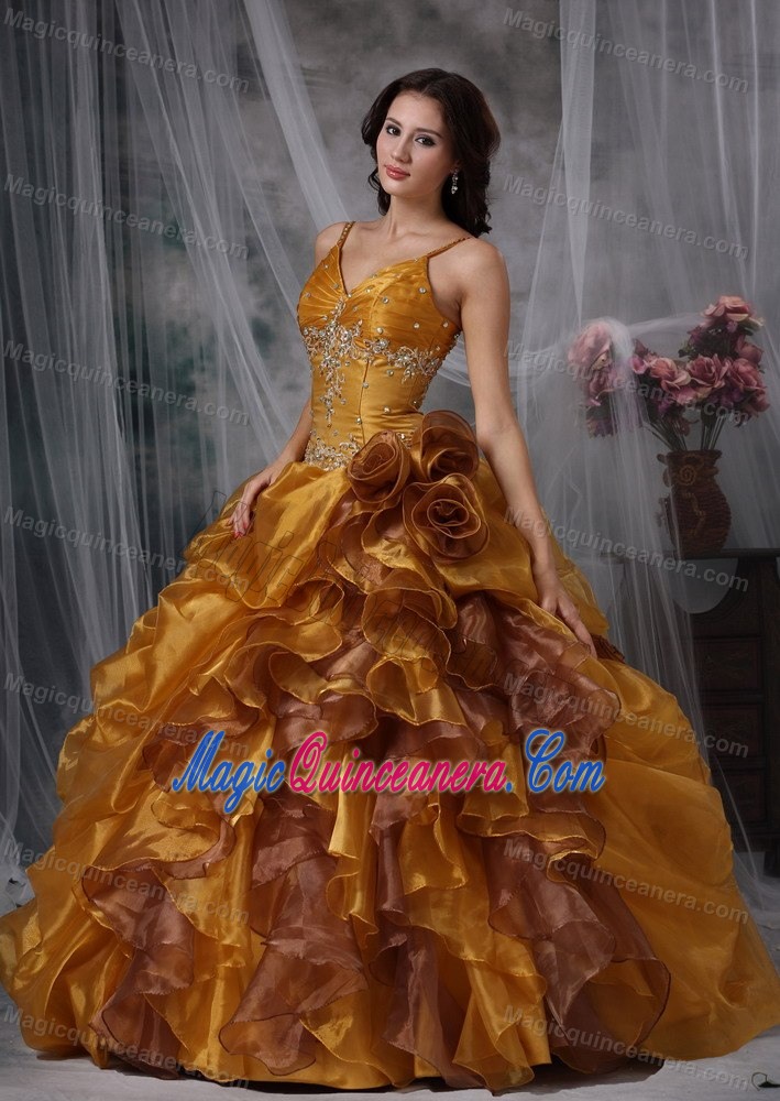 Brown Spaghetti Straps Beaded Organza Quinceaneras Dress in Bristol